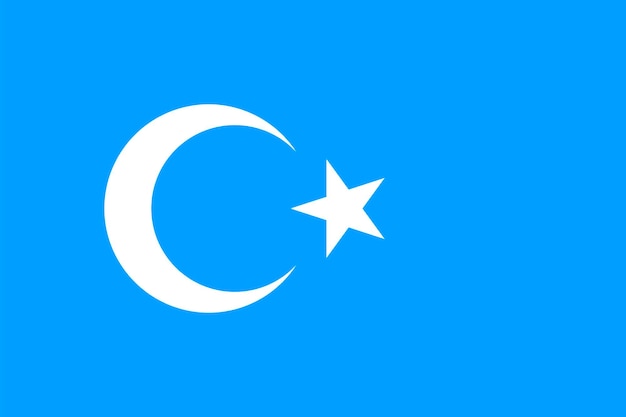 Vetor bandeira de kokbayraq