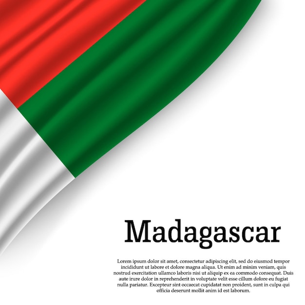 Bandeira de madagascar em branco