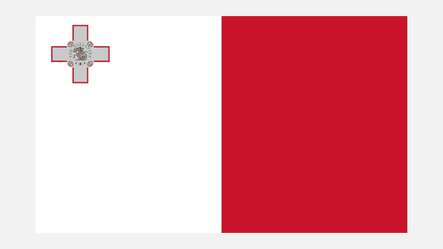 Vetor bandeira de malta com cor original