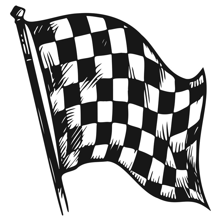 Vetor bandeira de quadros limpos_c