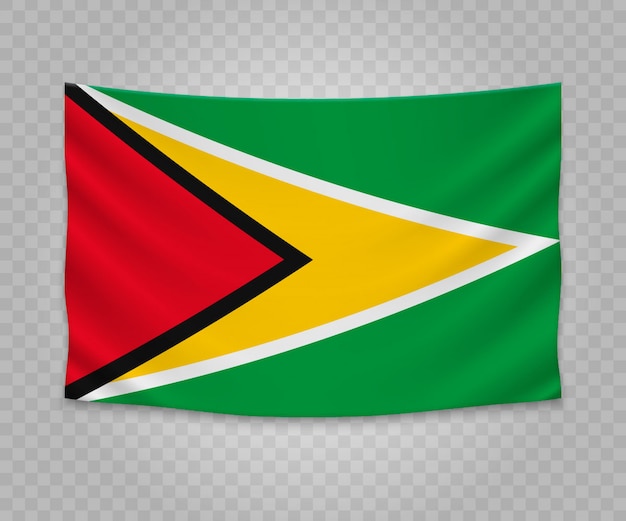 Bandeira de suspensão realista da guiana