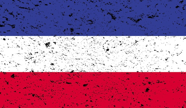 Vetor bandeira francesa com textura preta grunge