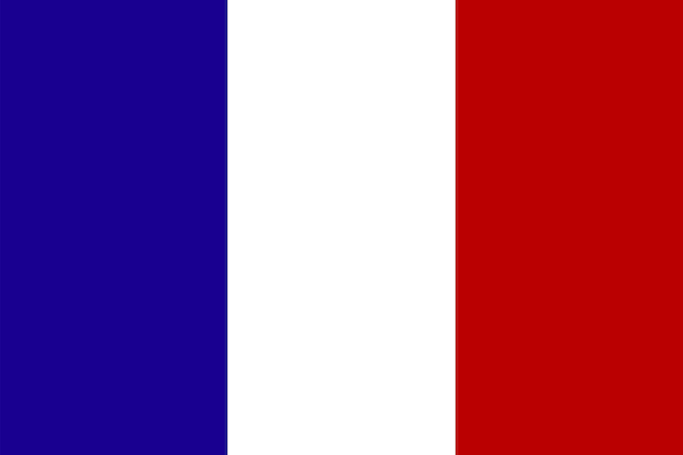 Vetor bandeira nacional oficial da frança ilustração do símbolo nacional