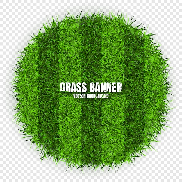 Bandeiras de grama verde fundo campo prado textura paisagem de grama futebol jogando campo de futebol