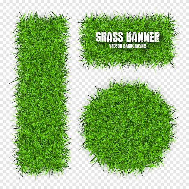 Bandeiras de grama verde fundo Textura de prado de campo Paisagem de grama Bio-eco orgânico e elementos de design de estilo de vida natural Ecologia e proteção do meio ambiente Ilustração vetorial
