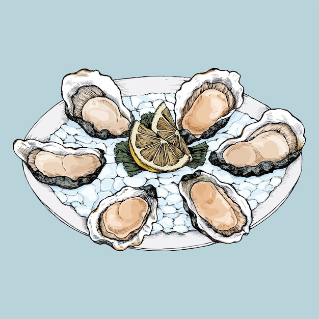 Bandeja de bivalves de água salgada de ostra desenhada de mão