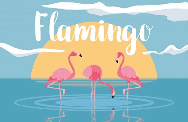 Bando de pássaros flamingos bonitos na paisagem