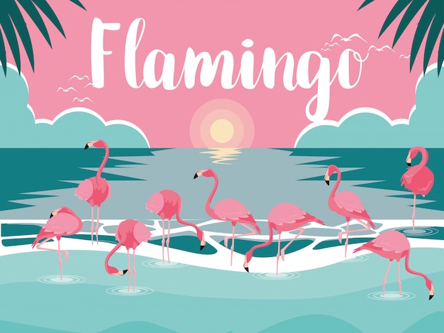 Bando de pássaros flamingos bonitos na paisagem