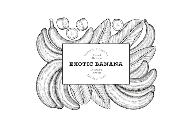 Vetor banner de banana desenhado à mão em estilo esboço