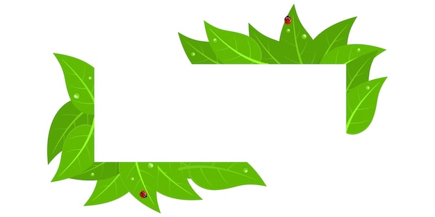 Vetor banner de canto de quadro com joaninhas vermelhas e folhas verdes com gotas de água isoladas arte de ilustração vetorial