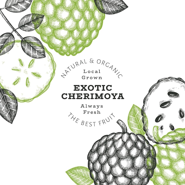 Banner de cherimoya desenhado à mão ilustração vetorial de frutas frescas orgânicas