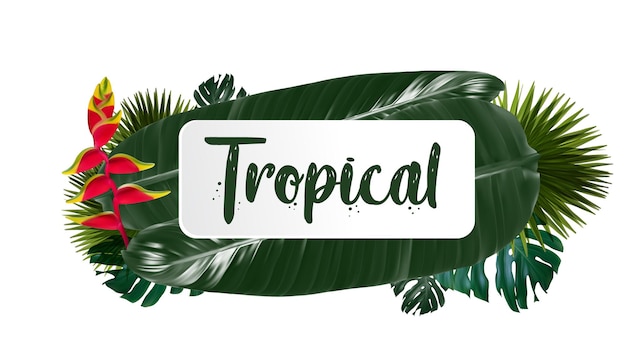 Banner de folhas tropicais verdes