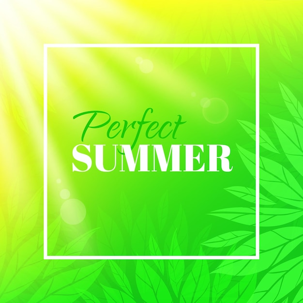 Vetor banner vetorial de verão perfeito com design tipográfico fundo com folhas e sol
