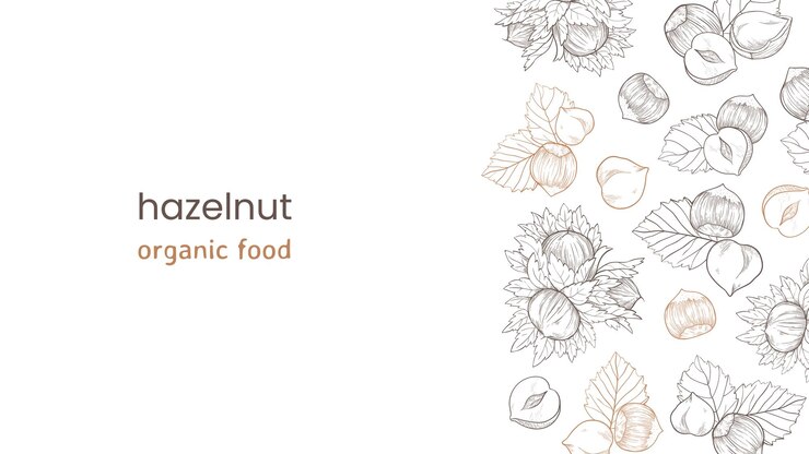 Banner web de avelã com nozes e folhas frutas e grãos À direita um padrão de avelãs um produto orgânico