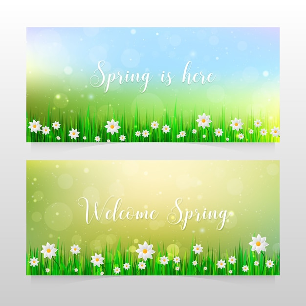 Banners de primavera com capim e flores brancas