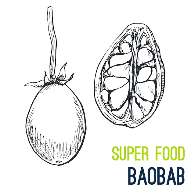 Baobab. super comida mão desenhada