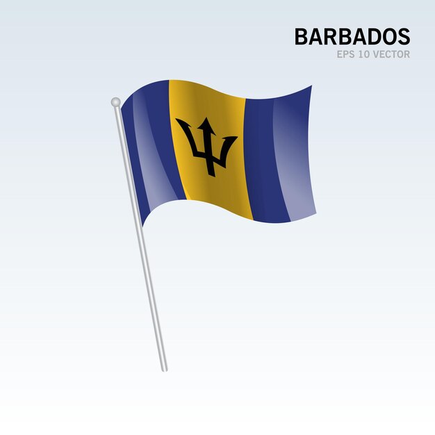 Vetor barbados agitando bandeira isolada em cinza