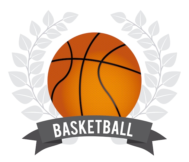 basquetebol