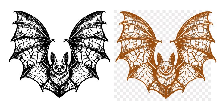 Vetor bat halloween desenhado à mão estilo de gravura contorno de linha vetorial