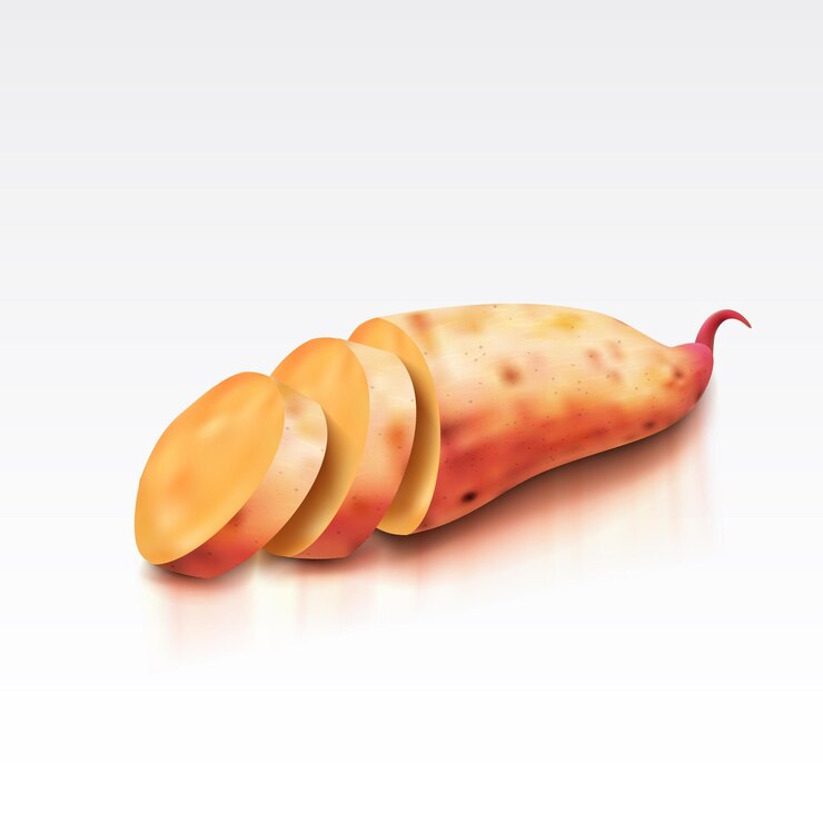 Vetor batata-doce realista em um fundo branco