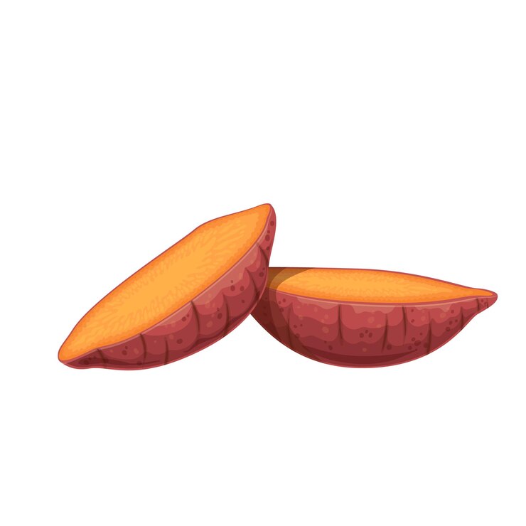 Vetor batata doce