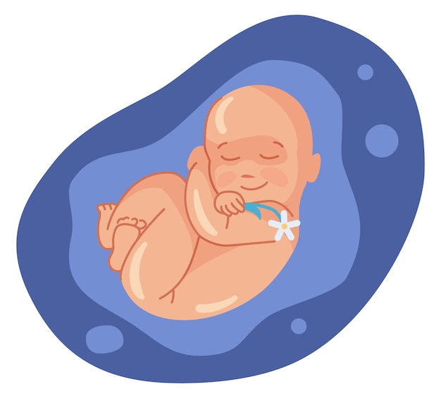 Bebê dormindo no útero e sorrindo embrião de desenho animado feliz