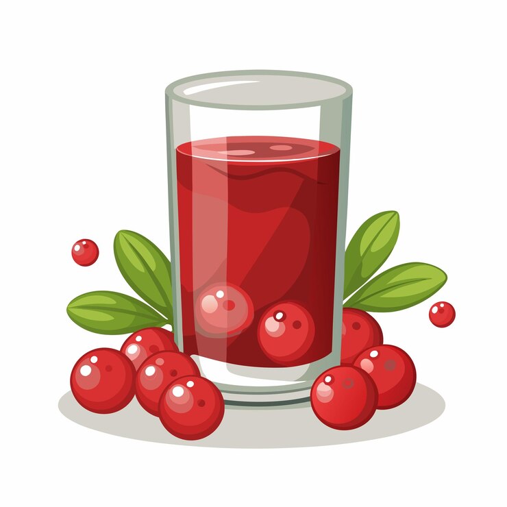 Vetor bebida de suco de cranberry ícone de arte vector
