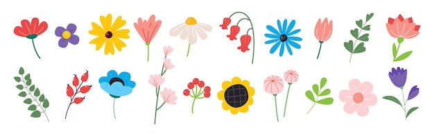 Bela coleção de flores românticas.