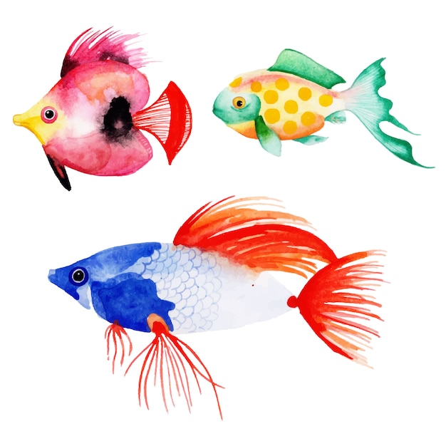 Bela coleção de peixes aquarela