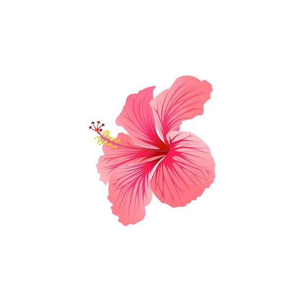 Vetor bela flor tropical de hibisco desabrochando
