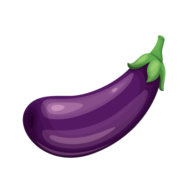 Bela ilustração de berinjela vegetal