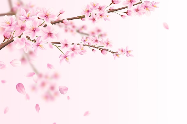 Vetor bela ilustração romântica de flores de sakura rosa com pétalas caindo.