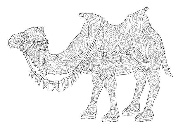 Bela ilustração vetorial linear monocromática para a página do livro de colorir adulto com a silhueta estilizada do camelo isolada no fundo branco