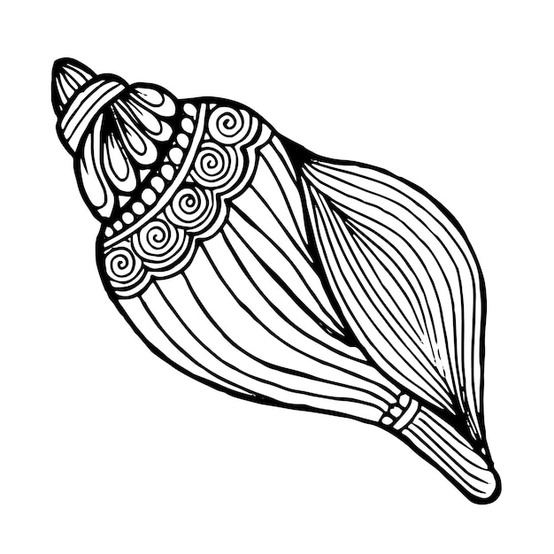 Bela mão desenhada Seashell preto e branco