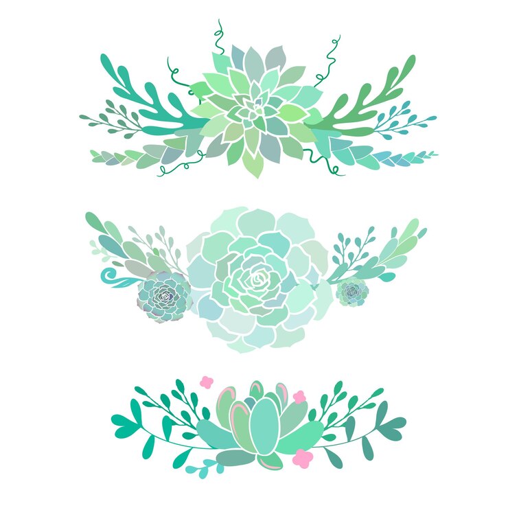 Vetor belas composições florais com flores decorativas vetoriais suculentas