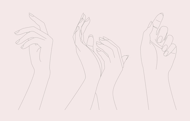 belas mãos femininas em poses diferentes conjunto de ilustração vetorial de arte de linha