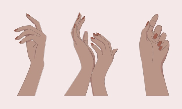 belas mãos femininas em poses diferentes conjunto de ilustração vetorial