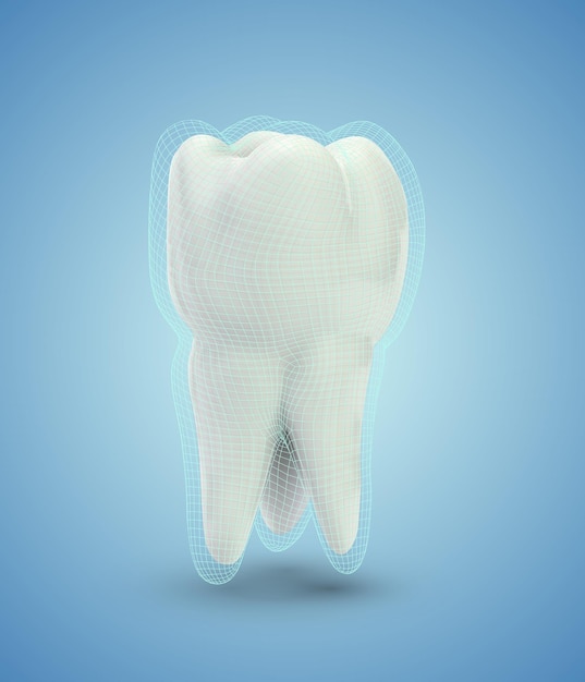 Vetor beleza de dente molar vetorial e limpeza de dente de saúde e cuidados pessoais