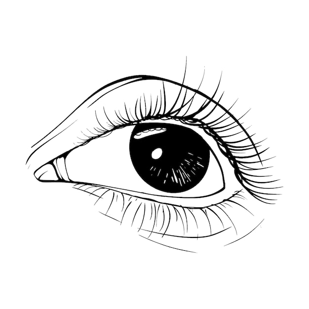 Vetor belo esboço desenhado à mão ilustração vetorial de olho arte de linha