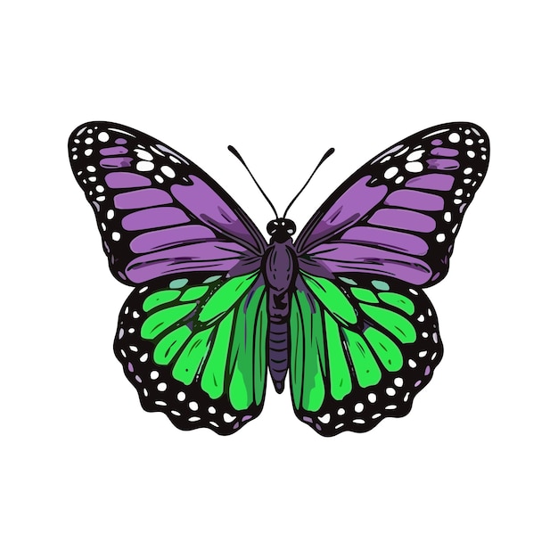 Belo vetor exótico de desenho animado colorido isolado em borboleta de limão verde roxo pastel branco