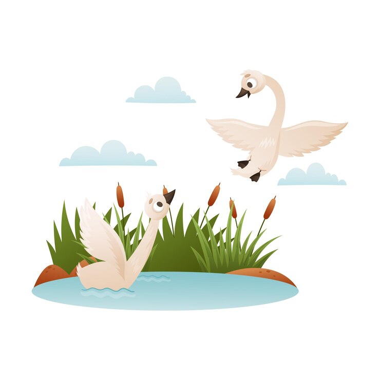 Vetor belos cisnes brancos pássaros cisnes selvagens ilustração vetorial de desenho animado