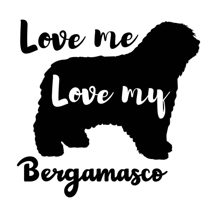 Vetor bergamasco ama-me ama o meu cão vetor silhueta animal de estimação