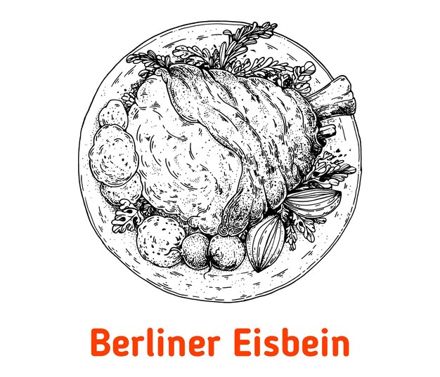 Vetor berliner eisbein ilustração vetorial desenhada à mão junta da vista superior da carne de porco elemento de design vintage ilustração de esboço de comida alemã