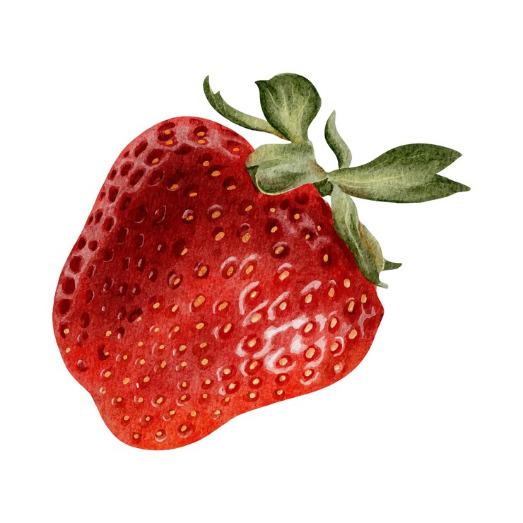 Vetor berry de morango vermelho maduro ilustração de aquarela desenhada à mão isolada clipart de frutas suculentas para pacote de menu receita de cartões de papelaria têxtil cosmético