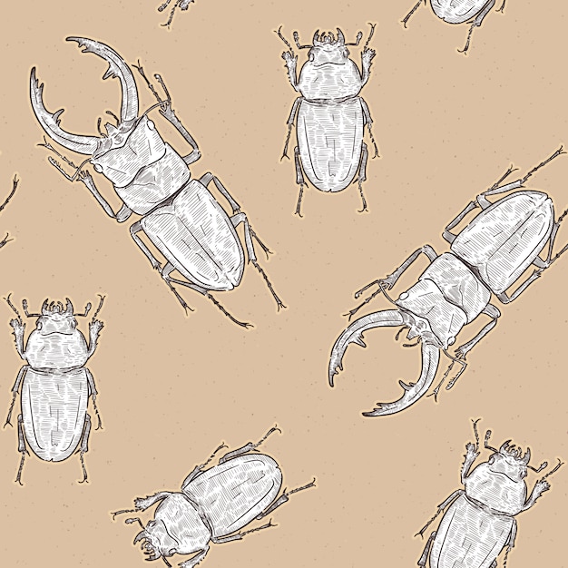 Besouro de veado vermelho de tokara (dissimilis de prosopocoilus) na ilha de tokara, japão. mão desenhar esboço sem costura padrão vector. masculino e feminino.