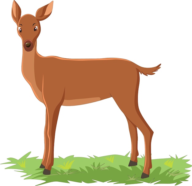 Bezerro bonito em pé na ilustração vetorial de grama