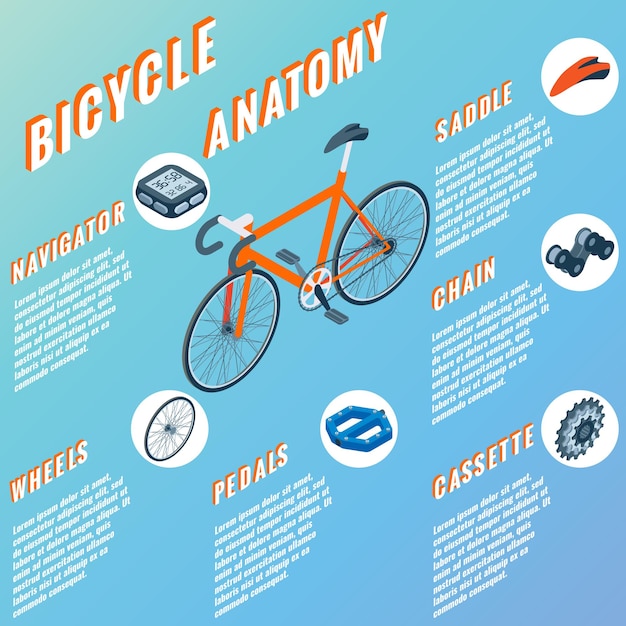Bicicleta anatomia conceito infográfico vetor conjunto de peças de bicicleta isoladas ícones isométricos bicicleta obj ...