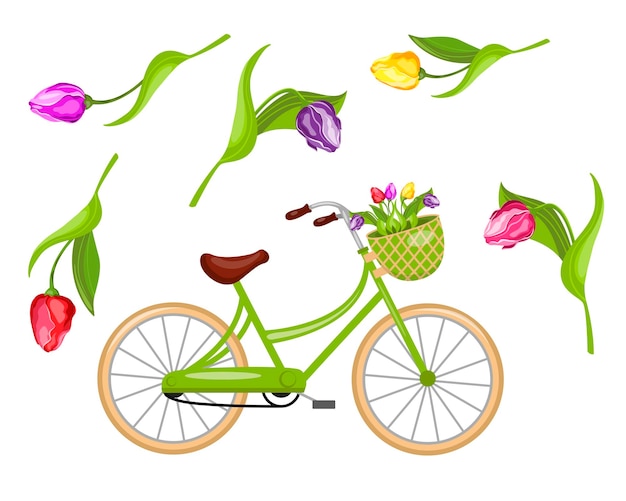 Vetor bicicleta e tulipas