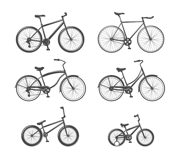 Bicicletas