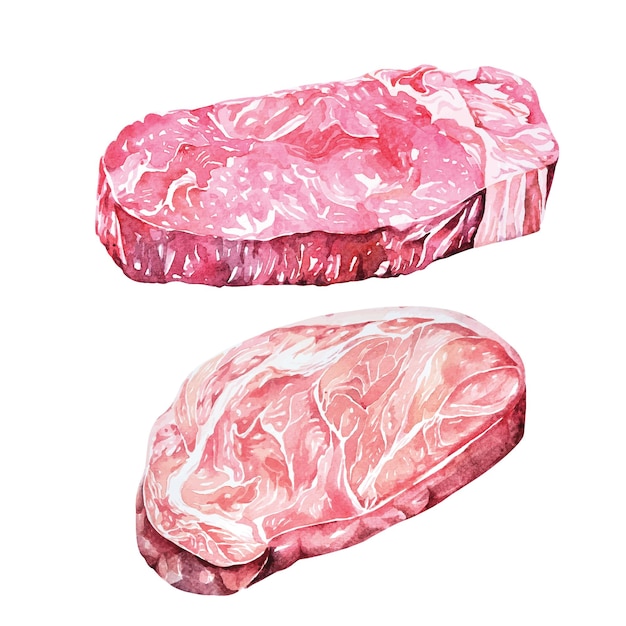 Vetor bife de carne cruacarne de porco pintada com aquarelamatérias-primas do lombo para cozinharbife de carne